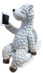 Sheep Product