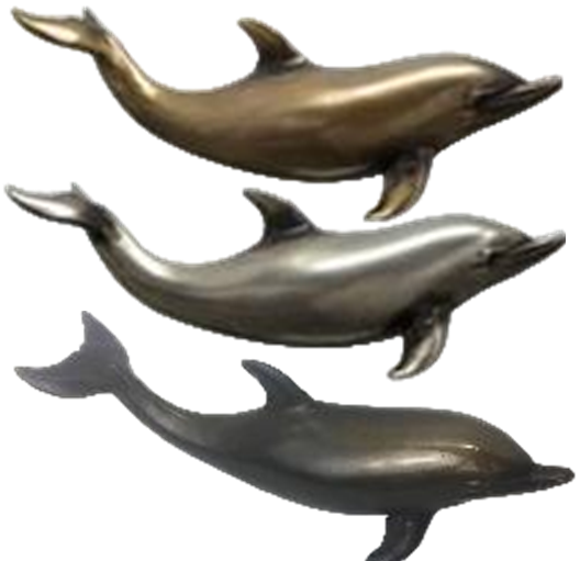 Dolphin Product