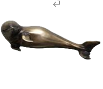 Dolphin Product