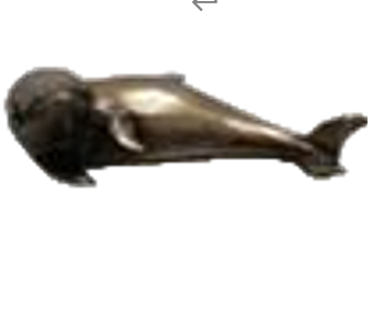 Dolphin Product