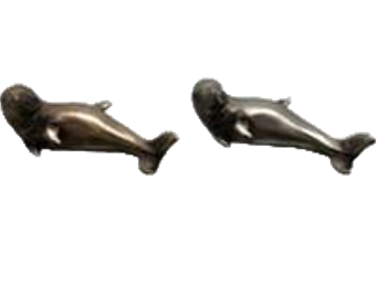 Dolphin Product