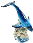 Whale Product