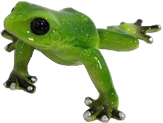 Frog Product