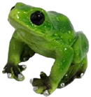 Frog Product