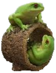 Frog Product