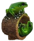 Frog Product