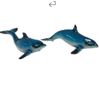 Dolphin Product
