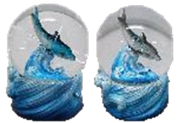 Dolphin Product