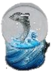 Dolphin Product
