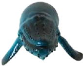Whale Product