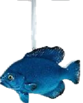 Fish Product