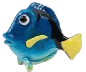 Fish Product