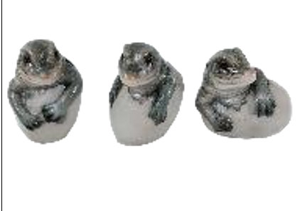 Crocodile Product
