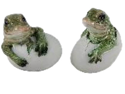 Crocodile Product