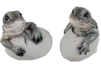 Crocodile Product