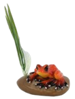 Frog Product