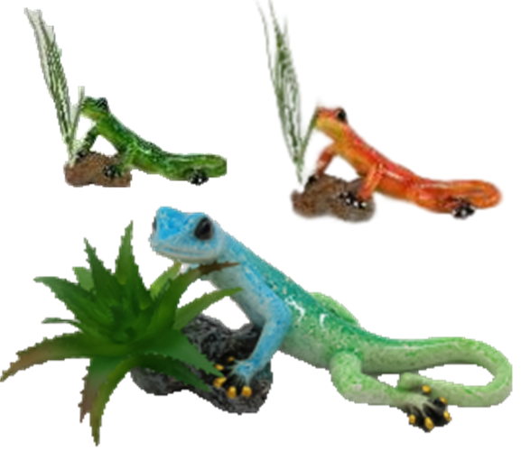 Lizard Product