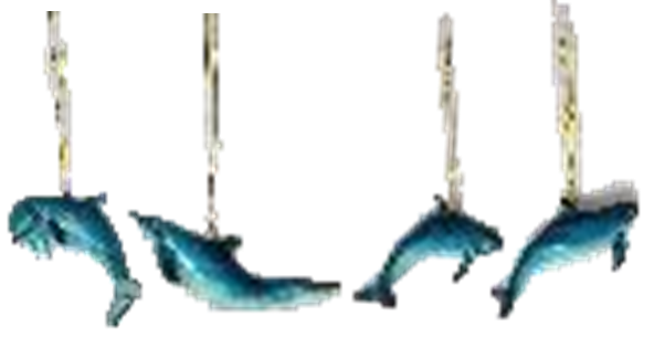 Dolphin Product