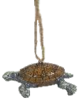 Turtle Product