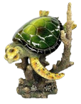 Turtle Product