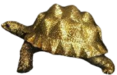 Turtle Product