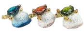 Turtle Product