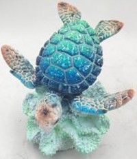 Turtle Product