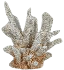 Coral Product
