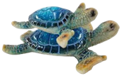 Turtle Product
