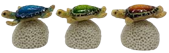 Turtle Product