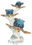Turtle Product