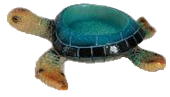 Turtle Product
