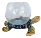 Turtle Product