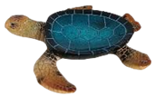 Turtle Product