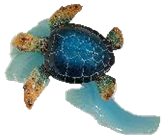 Turtle Product