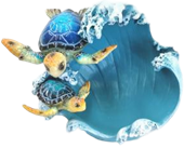 Turtle Product