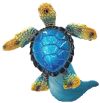 Turtle Product
