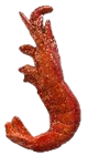 Shrimp Product