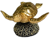Turtle Product