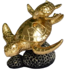 Turtle Product