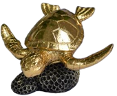 Turtle Product