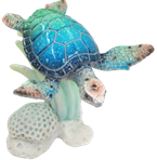 Turtle Product