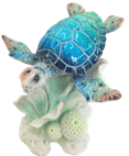 Turtle Product