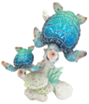 Turtle Product