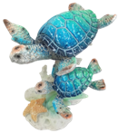 Turtle Product