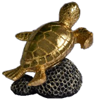 Turtle Product