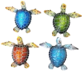 Turtle Product
