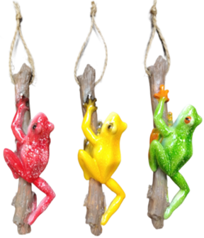 Frog Product