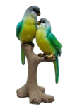 Bird Product