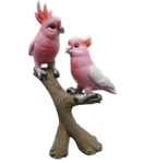 Bird Product